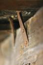 Careful craftsmanship and the right metal fittings are the secret to a long-lasting and loudly chirping floor, as in this example from Nijo Castle in Kyoto, Japan.