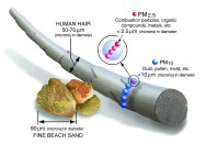 Size comparisons for particulate matter, or PM. Particle pollution includes:PM10 : inhalable particles, with diameters that are generally 10 micrometers and smaller; andPM2.5 : fine inhalable particles, with diameters that are generally 2.5 micrometers and smaller.How small is 2.5 micrometers? Think about a single hair from your head. The average human hair is about 70 micrometers in diameter – making it 30 times larger than the largest fine particle. (EPA)