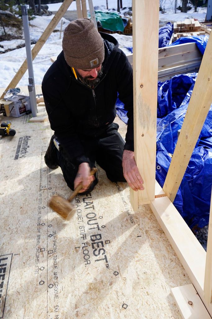 Carpenter Matt Friel taps a dovetail tenoned stud into place in the wall plate mortise.