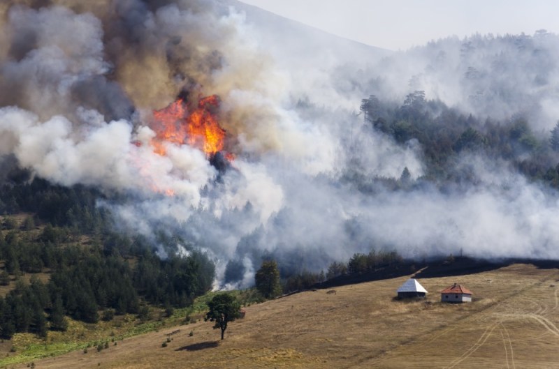 43% of new homes built between 1990 and 2010 occupy Wildland-Urban Interface (WUI) areas