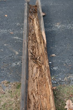 "Dry" rot. Rotten wood is often found in a dry condition and so is called "dry rot." But the wood had to have once been wet for the decay to occur. In this case - an old wood gutter - the wood had ample opportunity to get wet. (For details on how this gutter was replaced with respectful consideration to the original building details as well as long-term future performance, see "Replacing a Wooden Gutter.")