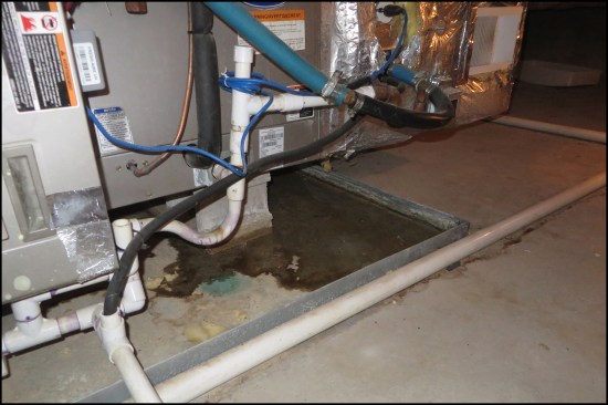 … as seen in the two photos above. The author’s company now uses a secondary safety device to ensure the fan is operating before the humidifier will run.