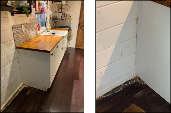 Mushroom blooms thrive at the base of an interior wall (left, right). The manufacturer did not consider basic building science or changes in climate zone when building the home; it was built in Connecticut (zone 5) and trucked to Vermont (zone 6).