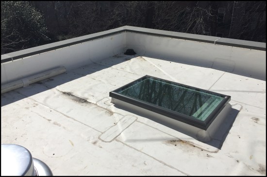 The roof system consisted of a plywood deck with tapered roof insulation (pitched toward a corner roof drain) and a TPO single-ply membrane.