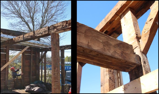 Larger, full timbers were hand-hewn spruce, while studs and other smaller members were sawn — also milled from spruce (photo, above).