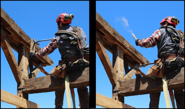 Because the frame was so exposed to the elements, both carpenter ants and powder post beetles were present on site. Here (photos, left and right), a plume of powdery sawdust wafts into the air while pulling out a hardwood peg (powder post beetles prefer to bore into the hardwood pegs, which were typically made from ash or beech). To thwart future carpenter ant and powder post beetle infestations at the storage barn, all the components were sprayed with Bora-Care (an insecticide and fungicide solution) and granular borate bait by Niban was distributed on the barn’s floor.