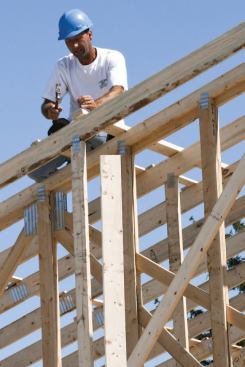 Temporary structural bracing is nailed across the top chords of the trusses.