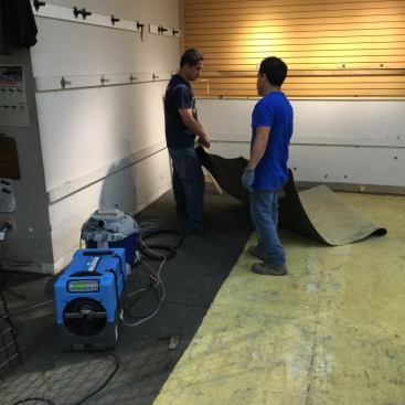 Carpet can be salvaged if it's "clean" water. Carpet pad needs to be pitched in the trash bin. Because this was muddy creek water, the carpet was pulled and pitched.