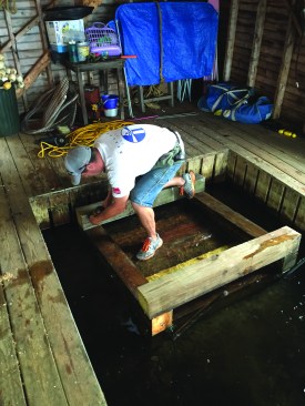The timbers were toe-screwed to the mat and to one another.