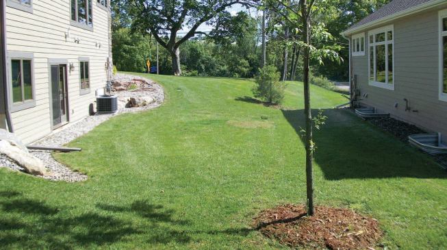 The existing grade channeled runoff between the small evergreen at the center of this photo (taken facing the road) and the corner of the dwelling at right. Digging a swale to divert runoff to the street — as specified by the original plan — would have required tearing up existing landscaping and, most likely, removing the mature tree at the rear of the photo.