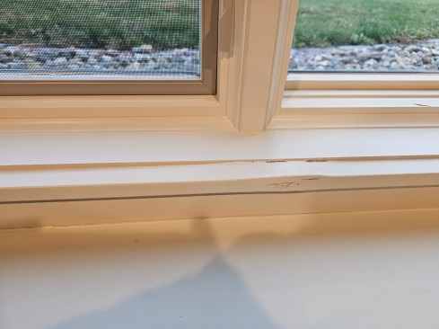 The author was called to investigate what the builder believed was a window leak that caused the interior MDF sill trim to expand and the paint to crack near one mullion.