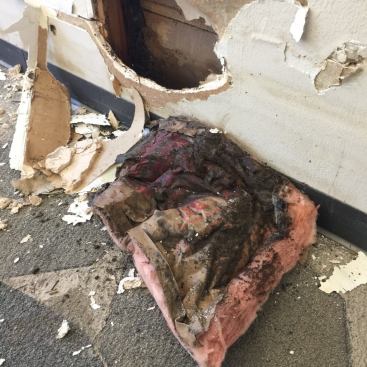 Insulation acts as a sponge. Remove it and throw it away.