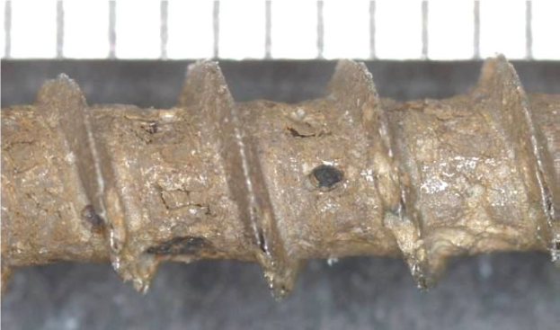 While the head of this screw looked intact, the shaft was covered with heavy iron-rich rust, indicating that the zinc coating had been seriously damaged.