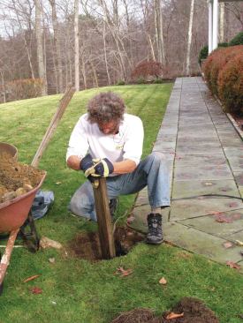Alternatively, loose soil can be compacted with a tamper, a framing offcut, or a section of a 4x4 or 6x6 post. 