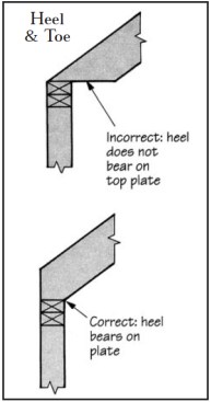 Setting a rafter’s toe on the  top plate risks splitting the rafter and  causing the roof to sag. The inside edge  of the level cut, or heel, should rest on  the plate.