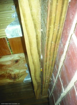 Note the nailed double-ledger connection, which is in the process of separating.