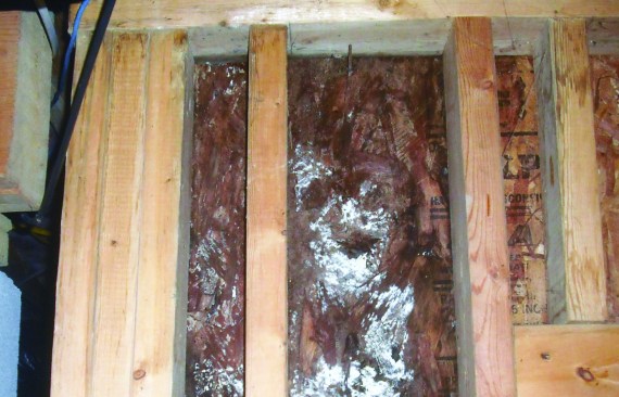 Improperly installed ledger flashing on a one-year-old deck was the cause of this water damage.
