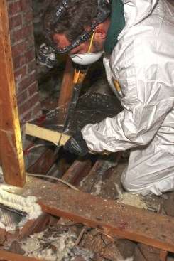 Some larger gaps weren’t in direct contact with the masonry.