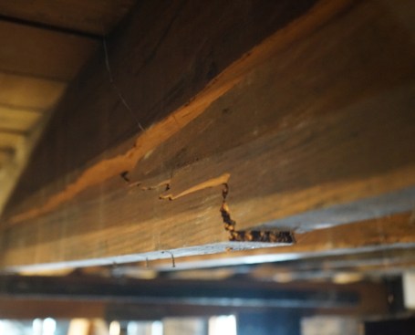 Another damaged floor joist