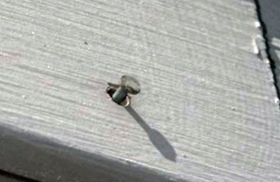 As wood expands and contracts with changes in moisture and temperature, smooth-shank nails may gradually work  proud of the board surface.