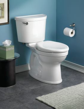 Accessible toilet. Products for aging-in-place, like American Standard’s Champion Pro toilet, will continue to proliferate.