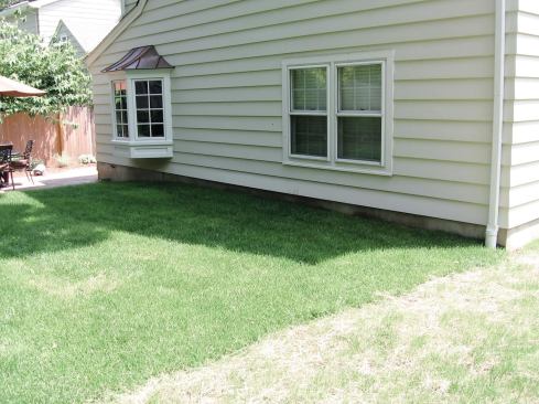 . . . by a nicely graded backyard.