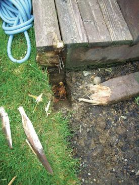 The stair posts, which had been buried in the ground, had also rotted.