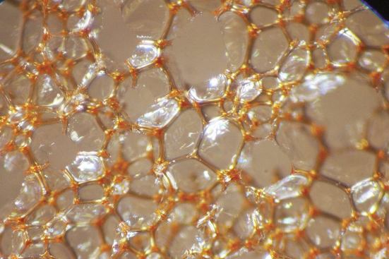 The gas-filled bubbles that give foam its cellular structure are durable if not stressed. But when pipes and wires air-sealed with canned foam are forcibly moved, these bubbles are easily torn apart.