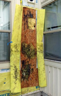 The worst damage correlated with bedrooms with high indoor air dew-point temperatures.