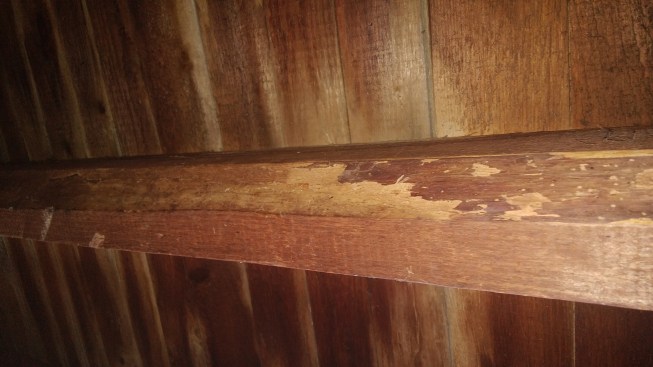 Wane, shown here on a ceiling joist, is common on ungraded framing stock in old buildings. However, it is rarely a structural problem except when it reduces the bearing area of a beam.